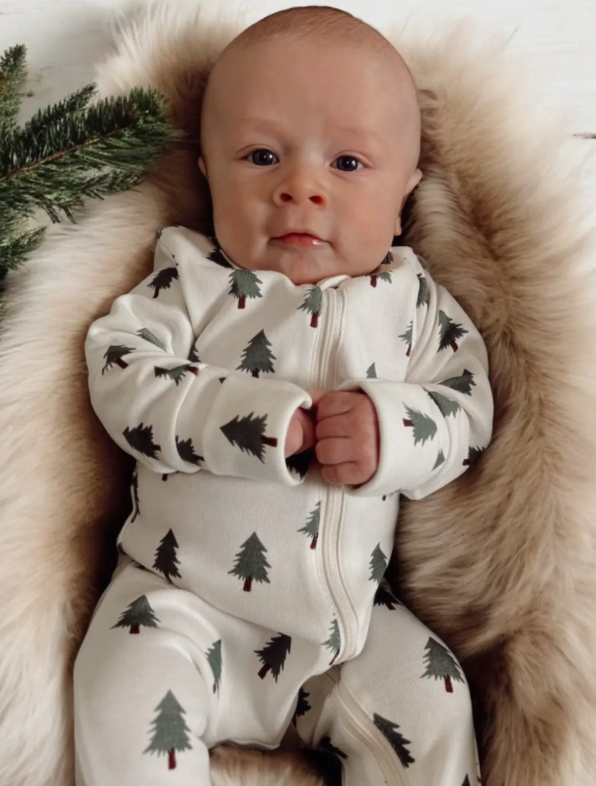 christmas tree jammies