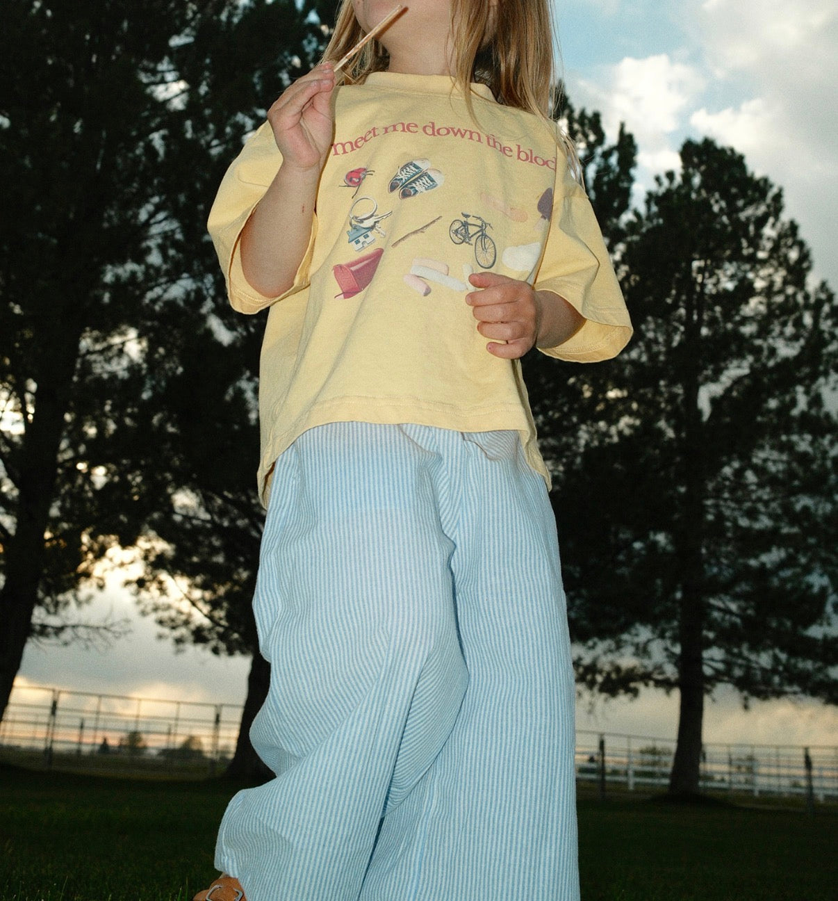 clothesline stripe pant