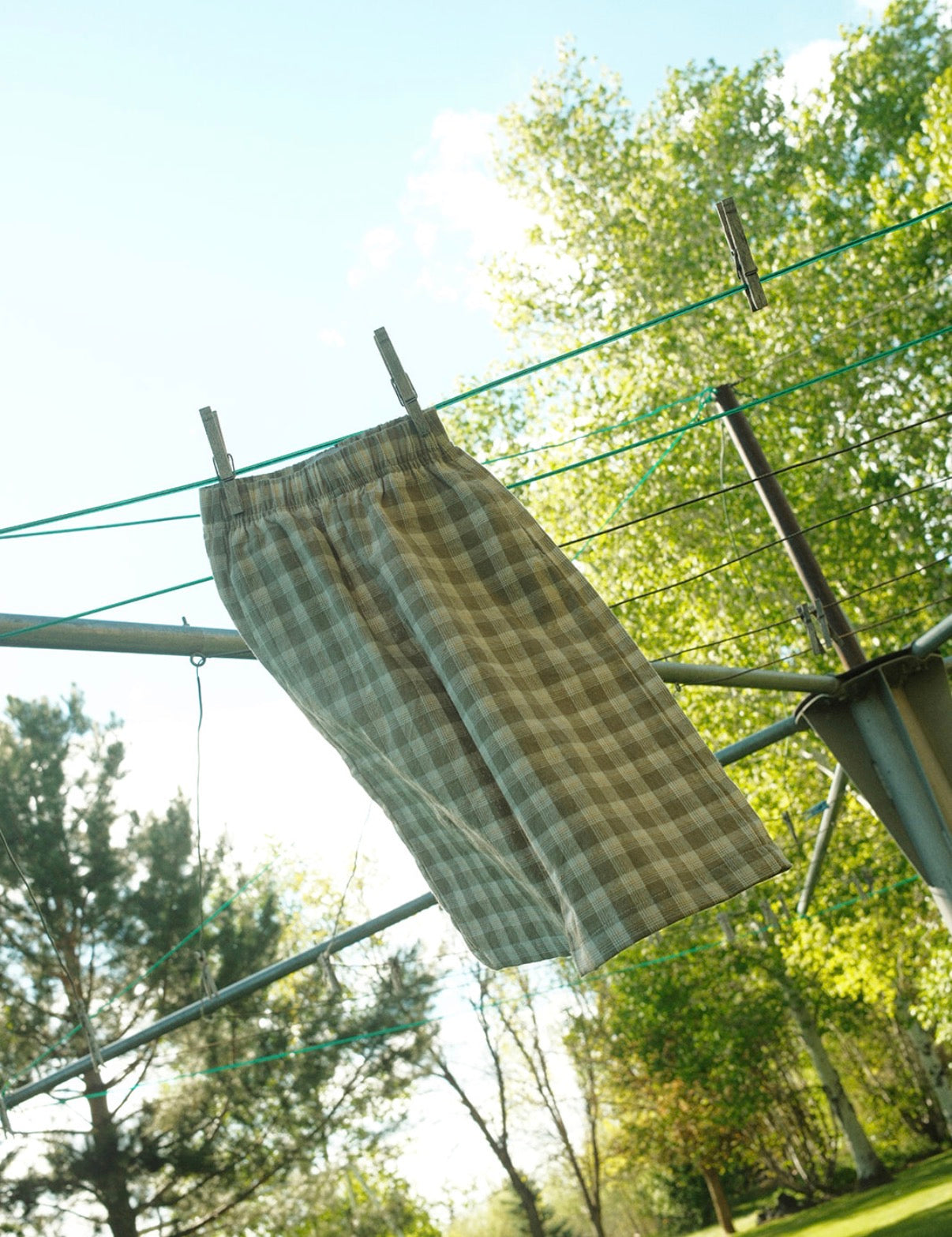 picnic blanket pant