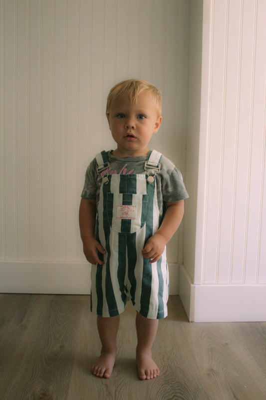 grass stain shortie overall
