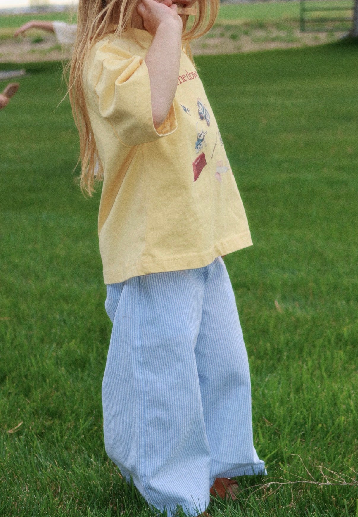 clothesline stripe pant
