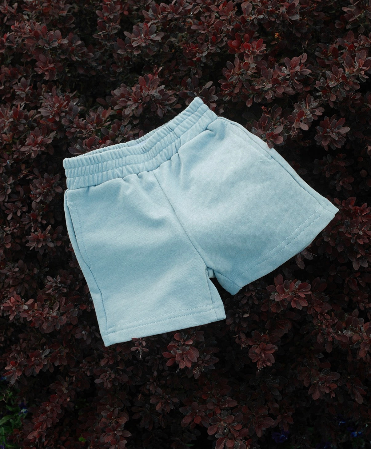 staple sky short